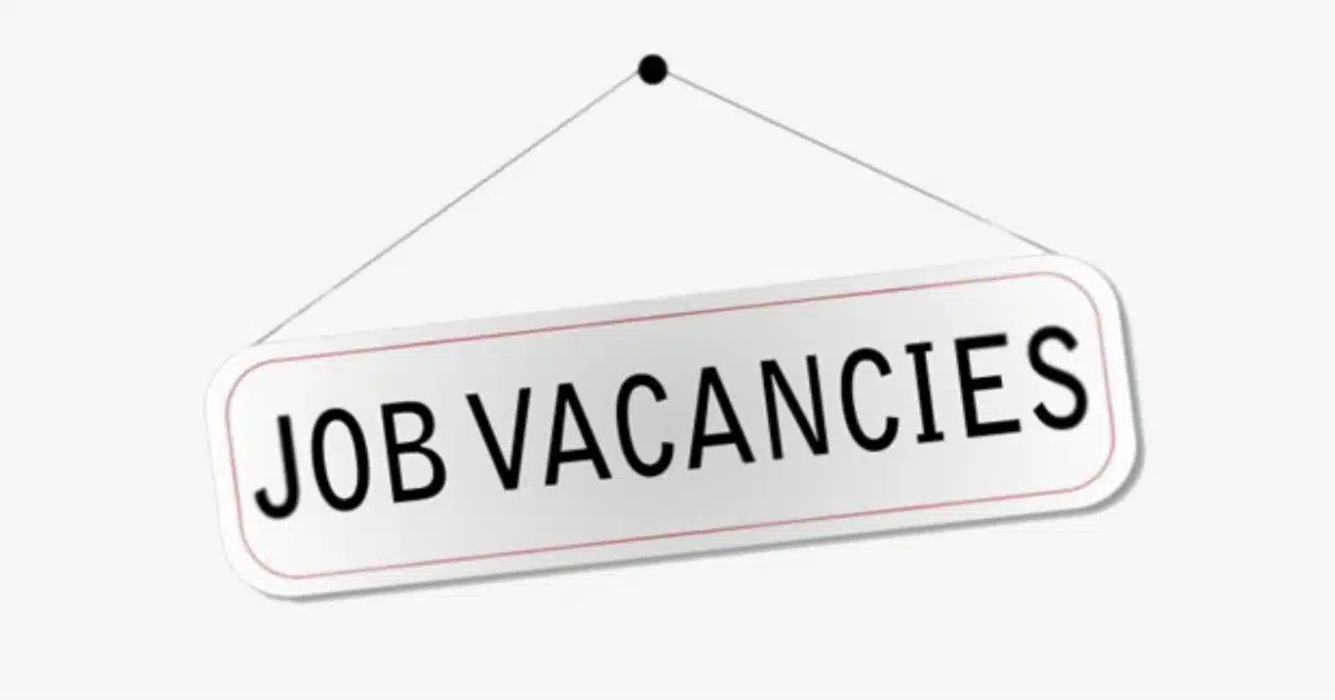 Job Vacancies | पिंपरी-चिंचवड महानगरपालिकेत 'या' पदांसाठी मेगा भरती सुरू होणार
