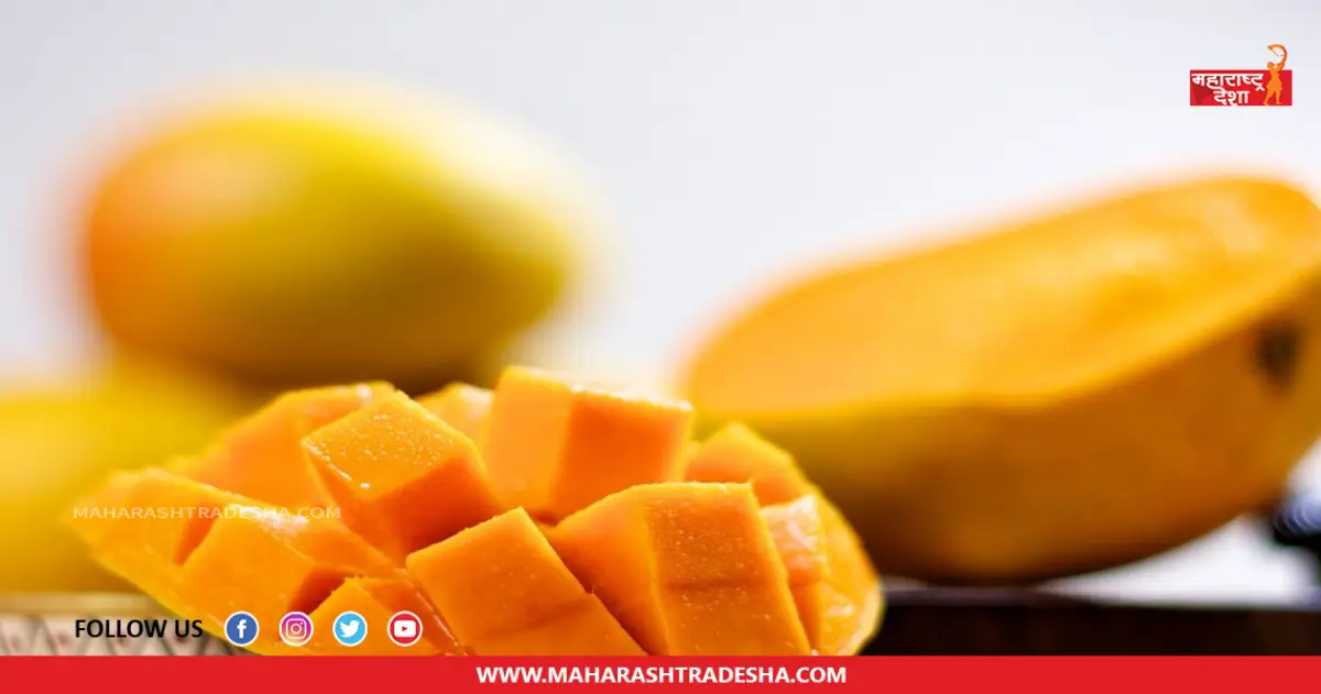 Mango Benefits | उन्हाळ्यामध्ये आंब्याचे सेवन केल्याने आरोग्याला मिळतात 'हे' फायदे