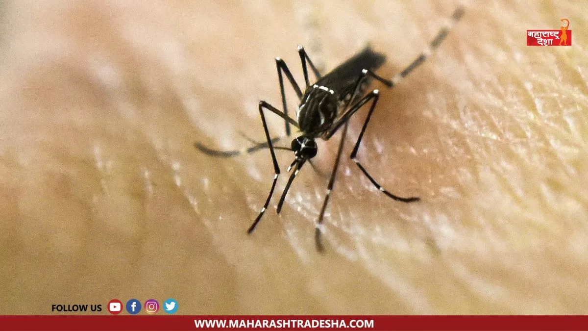 5 Zika Virus patients found in the state