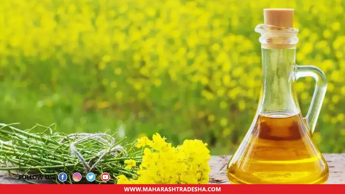 Mustard oil is a panacea for many winter problems