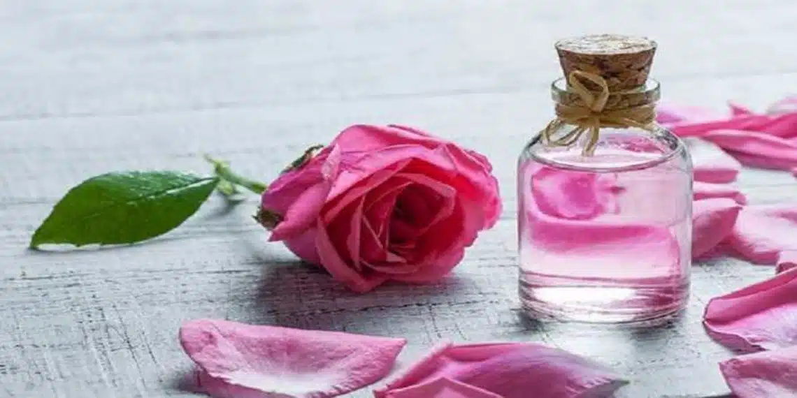 Rose Water | हिवाळ्यामध्ये गुलाब जलाने चेहरा कसा स्वच्छ करायचा?, जाणून घ्या पद्धती