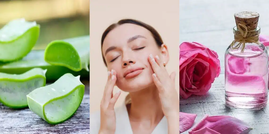 Skin Care Tips | चेहऱ्याला कोरफड आणि गुलाब जल लावल्याने मिळतात 'हे' जबरदस्त फायदे