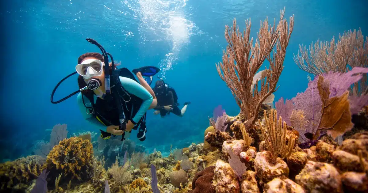Scuba Diving | स्कुबा डायव्हींगचा आनंद घ्यायचा असेल, तर 'ही' ठिकाणं आहेत सर्वोत्तम पर्याय