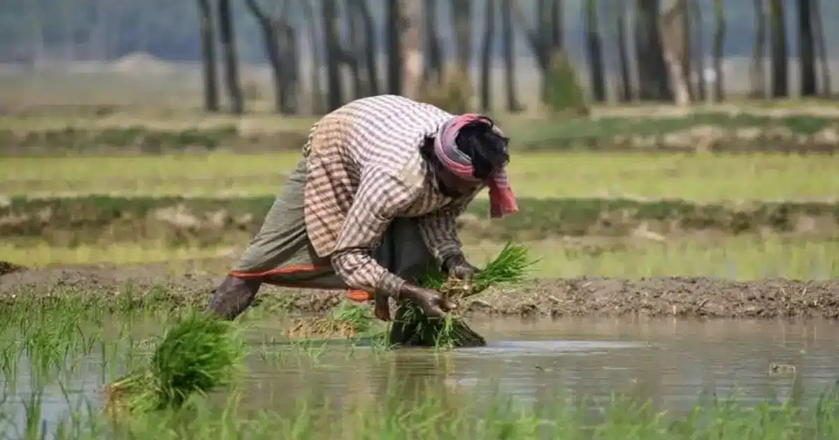PM Kisan Yojana | शेतकऱ्यांसाठी खुशखबर! पीएम किसान योजनेअंतर्गत मिळू शकतात 8000 रुपये?