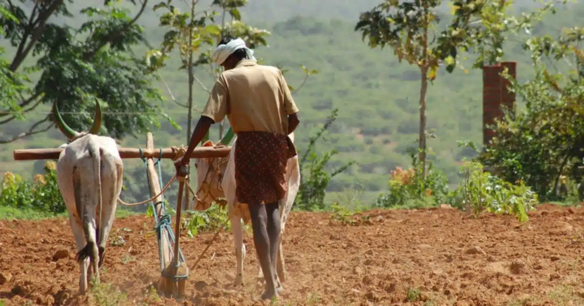 PM Kisan Yojana | मृत्यूनंतरही शेतकऱ्याला पीएम किसान योजनेतील रक्कम मिळेल का? जाणून घ्या
