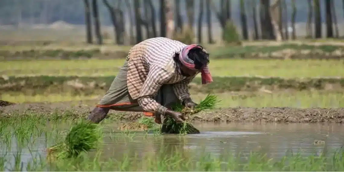 PM Kisan Yojana | शेतकऱ्यांसाठी मोठी बातमी! 13 व्या हप्त्याचे खात्यात 2000 नव्हे, तर 4000 रुपये होतील जमा