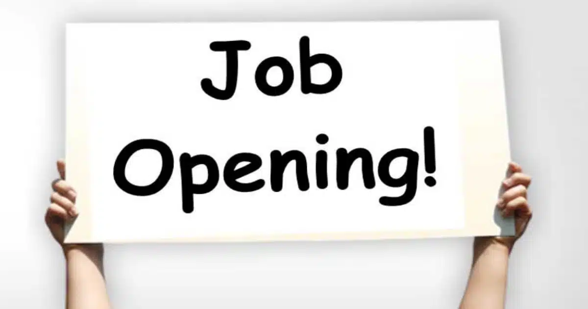 Job Opportunity | जॉब अलर्ट! राज्य सरकारच्या 'या' विभागात नोकरीची संधी