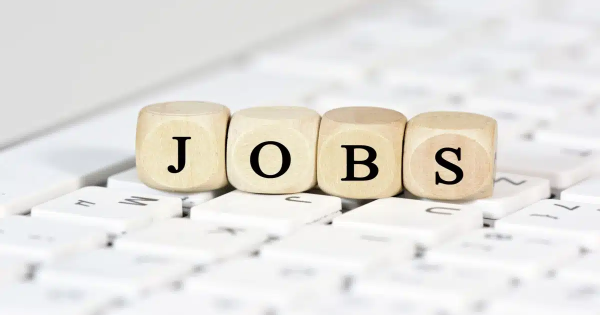 Job Vacancies | महावितरण कंपनीमध्ये 'या' पदाच्या रिक्त जागा, आजच करा अर्ज