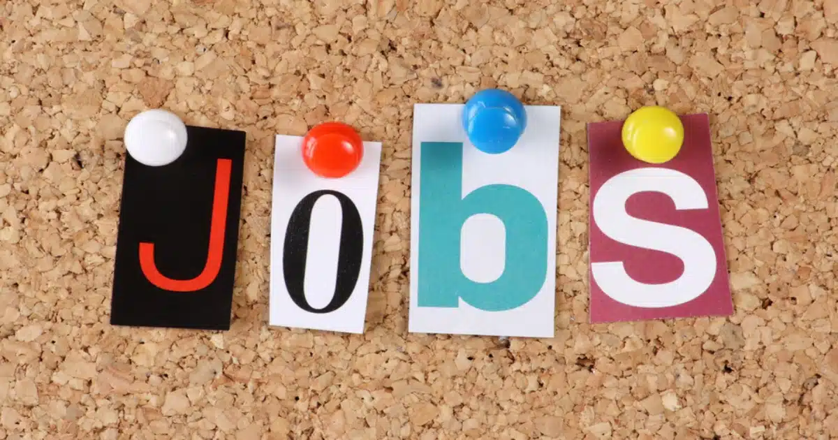 Job Opportunity | भारत सरकारच्या 'या' विभागात नोकरीची संधी, आजच करा अर्ज