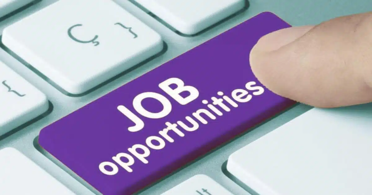 Job Opportunity | माहिती आणि जनसंपर्क महासंचालक नोकरीची संधी! ऑफलाइन पद्धतीने अर्ज प्रक्रिया सुरू