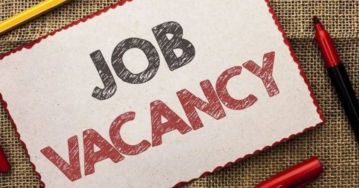 Job Vacancies | नोकरीची सुवर्णसंधी! गडचिरोली येथे 'या' विद्यापीठात रिक्त पदांच्या जागा भरण्यासाठी भरती प्रक्रिया सुरू