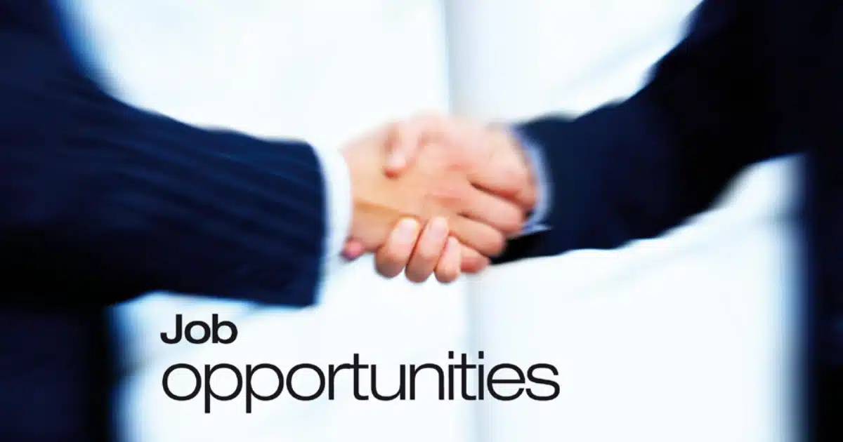 Job Opportunity | जॉब अलर्ट! 'या' संस्थेत 11 रिक्त जागा भरण्यासाठी भरती प्रक्रिया सुरू