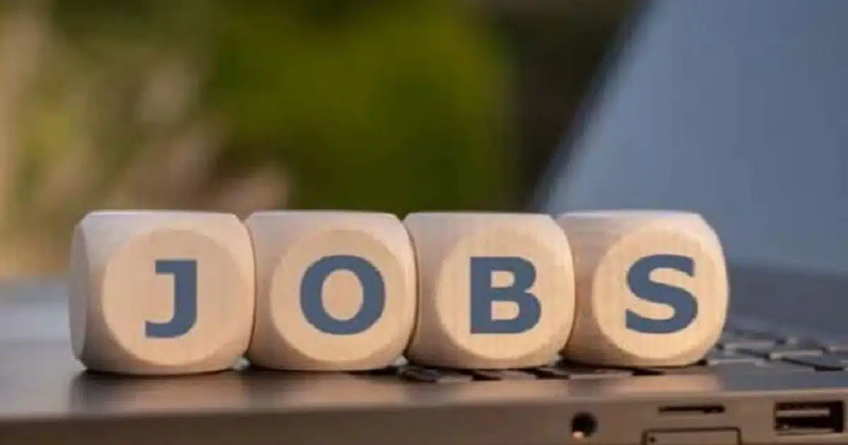 Job Vacancies | 'या' योजनेअंतर्गत इच्छुक उमेदवारांना नोकरीची संधी, आजच करा अर्ज