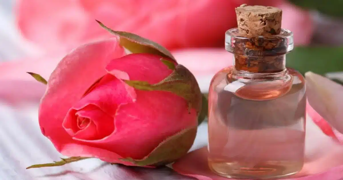 Rose Water | चेहऱ्यावरील डाग दूर करून चमक वाढवण्यासाठी गुलाब जलसोबत वापरा 'या' गोष्टी