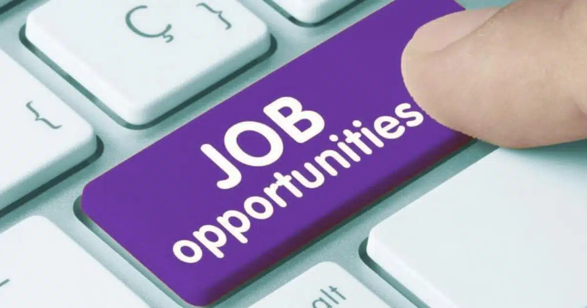 Job Opportunity | 'या' बँकेत नोकरीची संधी! 114 रिक्त जागांसाठी भरती प्रक्रिया सुरू