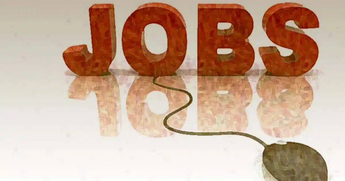 Job Opportunity | 12 उत्तीर्ण असलेल्यांसाठी 'या' बँकेत नोकरीची संधी
