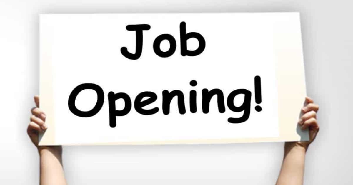 Job Opportunity | सरकारी नोकरीची संधी! 'या' विभागात रिक्त पदांच्या जागा भरण्यासाठी जाहिरात प्रसिद्ध