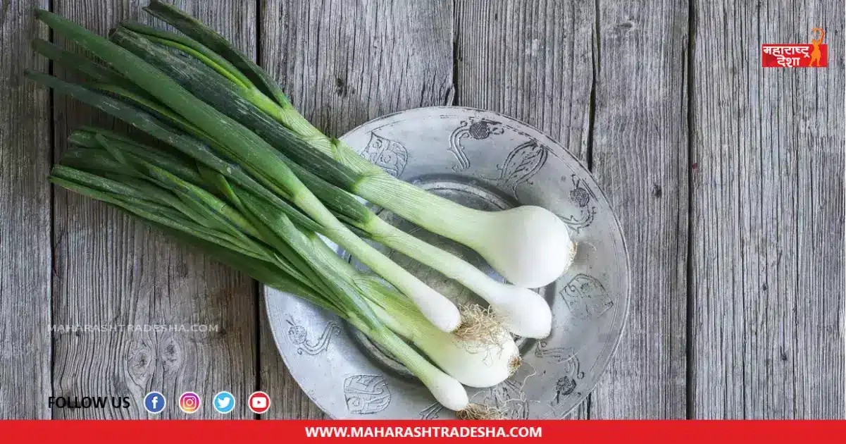 Green Garlic | हिरव्या लसणाचे सेवन केल्याने आरोग्याला मिळतात 'हे' अनोखे फायदे