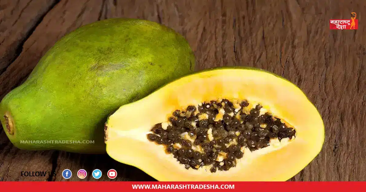 Raw Papaya | कच्च्या पपईचे सेवन केल्याने महिलांना मिळू शकतात 'हे' फायदे