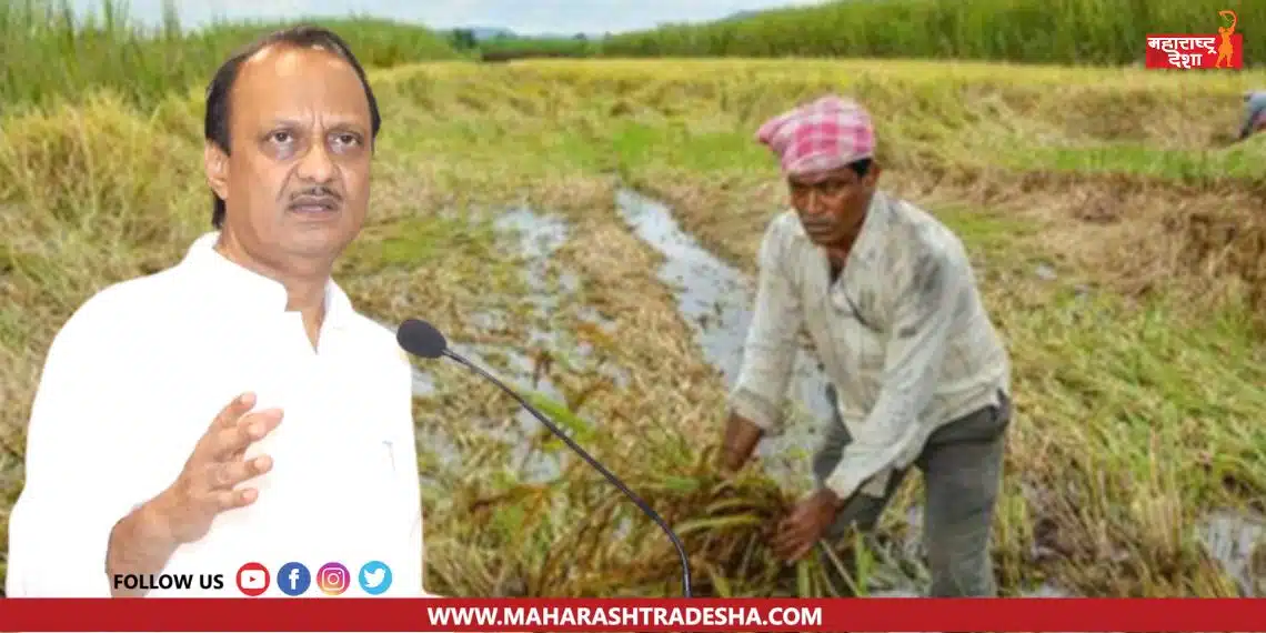 Ajit Pawar | 'शेतकऱ्यांनी नवं वर्ष कसं साजरं करायचं?'; अजित पवार राज्य सरकारवर आक्रमक
