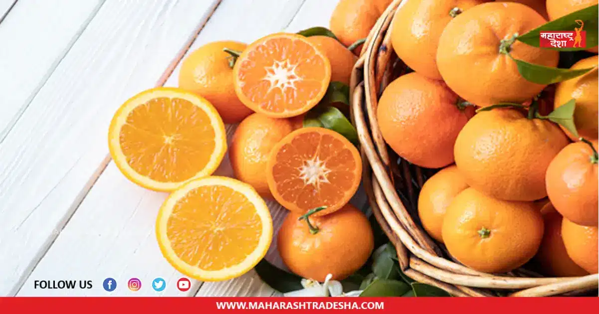 Orange Benefits | उन्हाळ्यामध्ये संत्र्याचे सेवन केल्याने आरोग्याला मिळतात 'हे' फायदे
