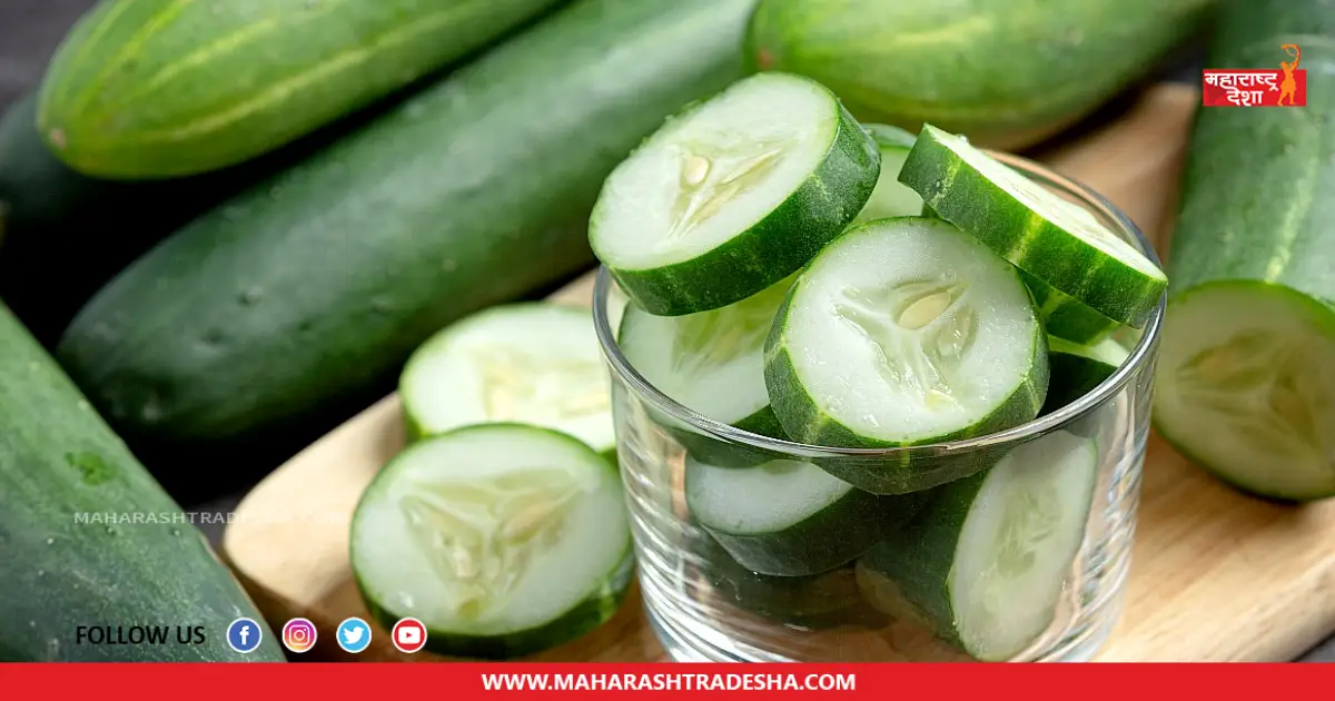 Cucumber Benefits | उन्हाळ्यामध्ये काकडीचे सेवन केल्याने मिळतात 'हे' जबरदस्त फायदे