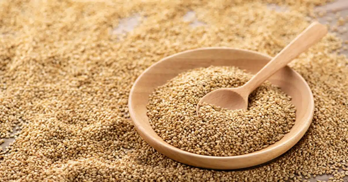 Sesame Seeds | सकाळी रिकाम्या पोटी भाजलेल्या तिळाचे सेवन केल्याने आरोग्याला मिळतील 'हे' जबरदस्त फायदे