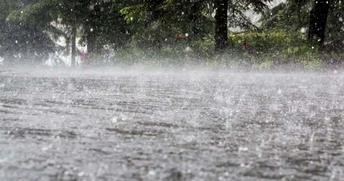 Rain Update | राज्यात पुढील 48 तास अवकाळी पावसाची शक्यता, हवामान विभागाचा अंदाज