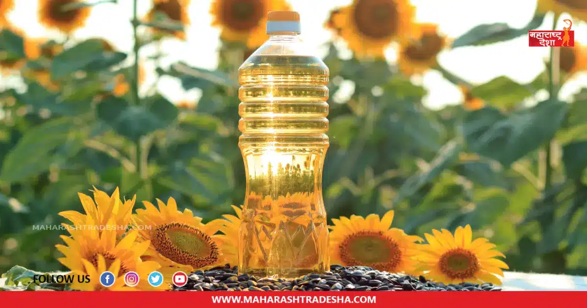 Sunflower Oil | सूर्यफुलाचे तेल वापरल्याने आरोग्याला मिळतात 'हे' जबरदस्त फायदे