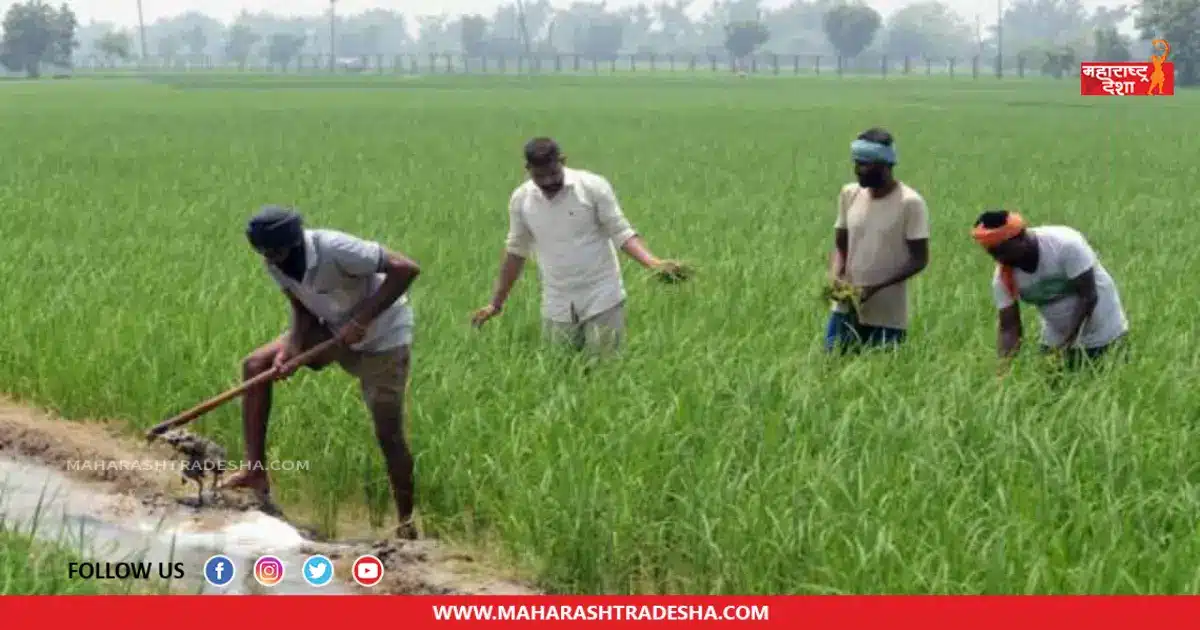 PM Kisan Yojana | पीएम किसान योजनेतील 14 व्या हप्ताबाबत मोठी अपडेट! जाणून घ्या सविस्तर