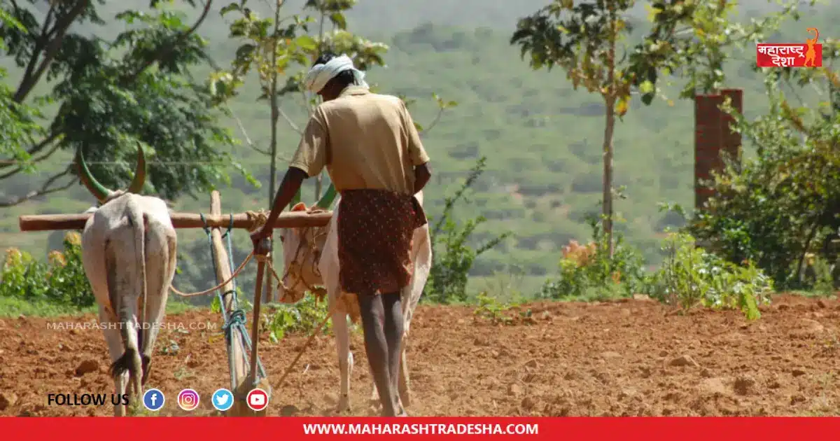 PM Kisan Yojana | पीएम किसान योजनेच्या 14 व्या हप्त्यात 'या' शेतकऱ्यांना मिळू शकतात 4000 रुपये
