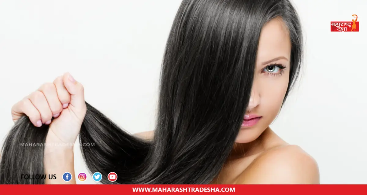 Hair Care | केसांची काळजी घेण्यासाठी आहारात करा 'या' प्रोटीन प्रोटीनयुक्त पदार्थांचा समावेश