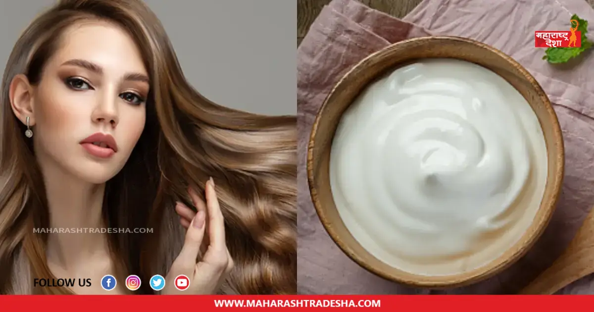 Curd can be useful for hair care in summer, know how to use it