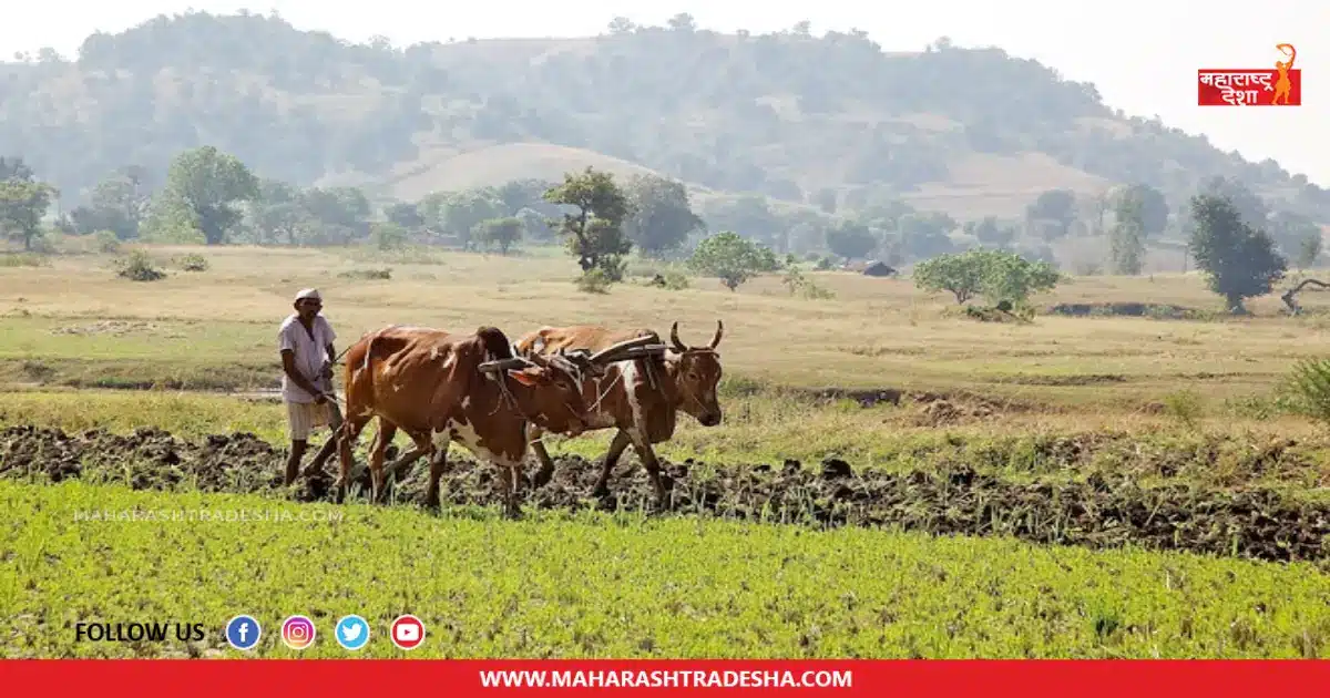 PM Kisan Yojana | शेतकऱ्यांच्या खात्यात 'या' महिन्यामध्ये येणार पीएम किसान योजनेचा 14 वा हप्ता
