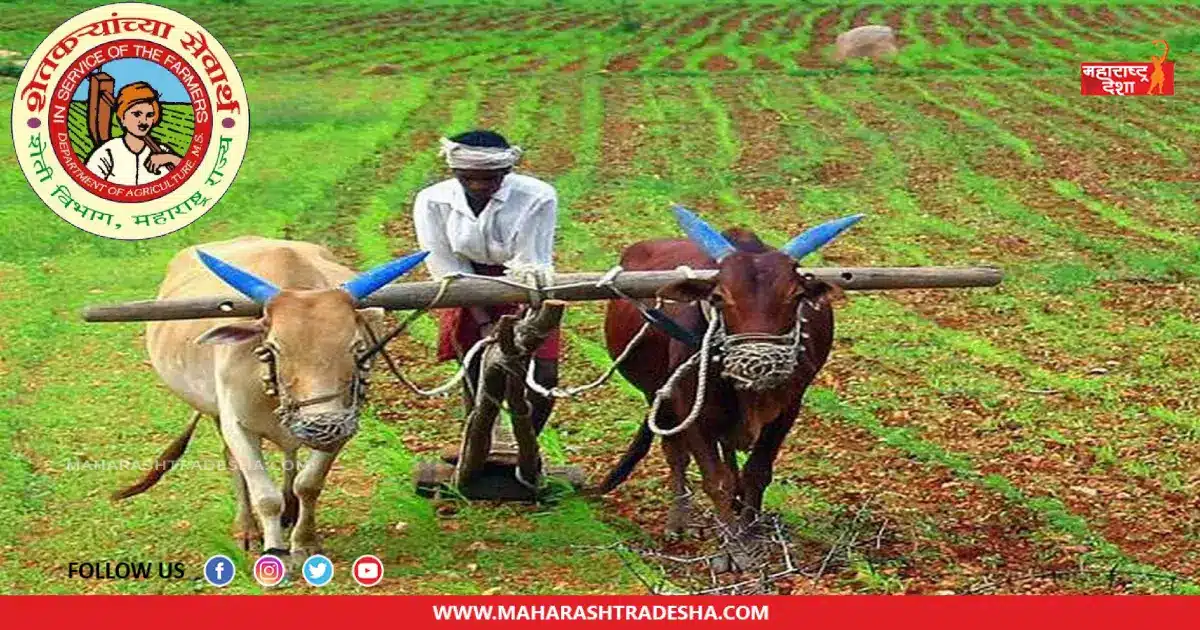 Department of Agriculture | महाराष्ट्र कृषी विभागात नोकरीची संधी! आजच करा अर्ज