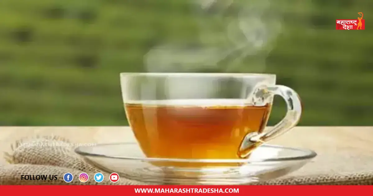 Green Tea | नियमित ग्रीन टीचे सेवन केल्याने हृदयाच्या आरोग्याला मिळू शकतात 'हे' फायदे