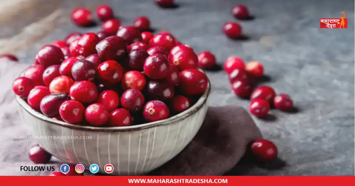 Including cranberry in the diet offers 'these' unique health benefits