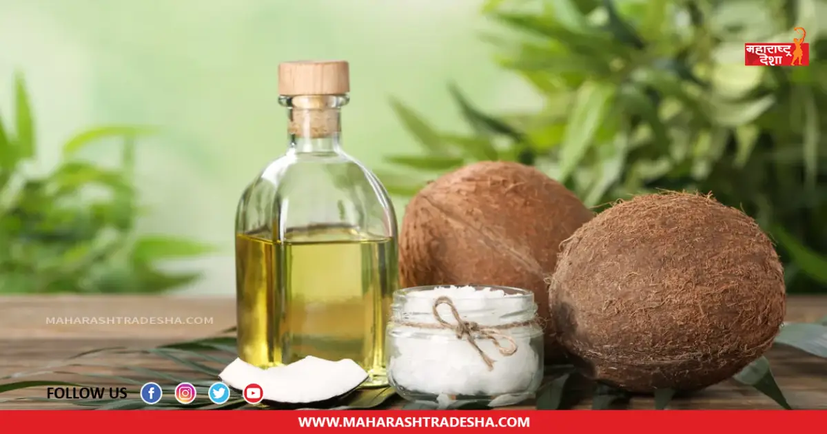 Coconut Oil | उन्हाळ्यामध्ये केसांची काळजी घेण्यासाठी 'या' पद्धतीने वापरा खोबरेल तेल
