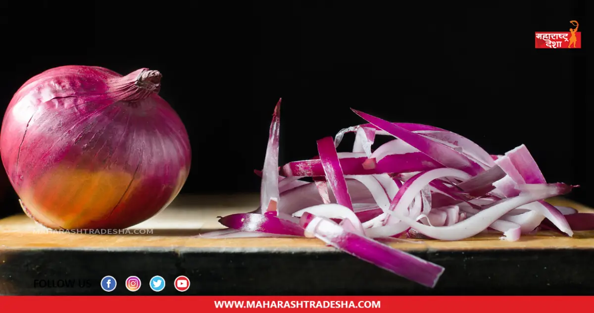 Onion Benefits | उन्हाळ्यामध्ये दररोज कच्च्या कांद्याचे सेवन केल्याने आरोग्याला मिळतात 'हे' फायदे