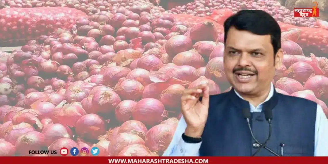 central government will buy 2 lakh metric tonnes of onion said Devendra Fadnavis