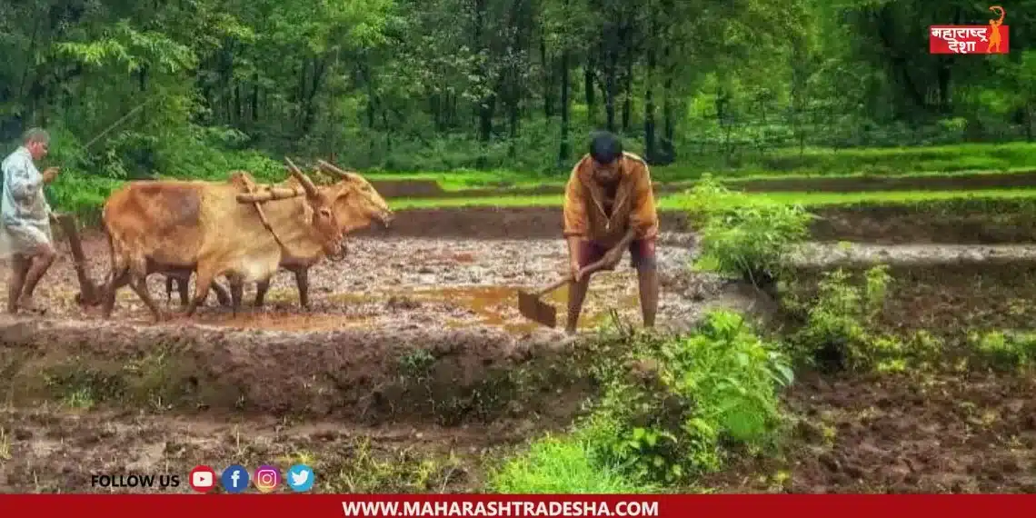 Farmers will get the first installment of Namo Shetkar Samman Yojana on Thursday