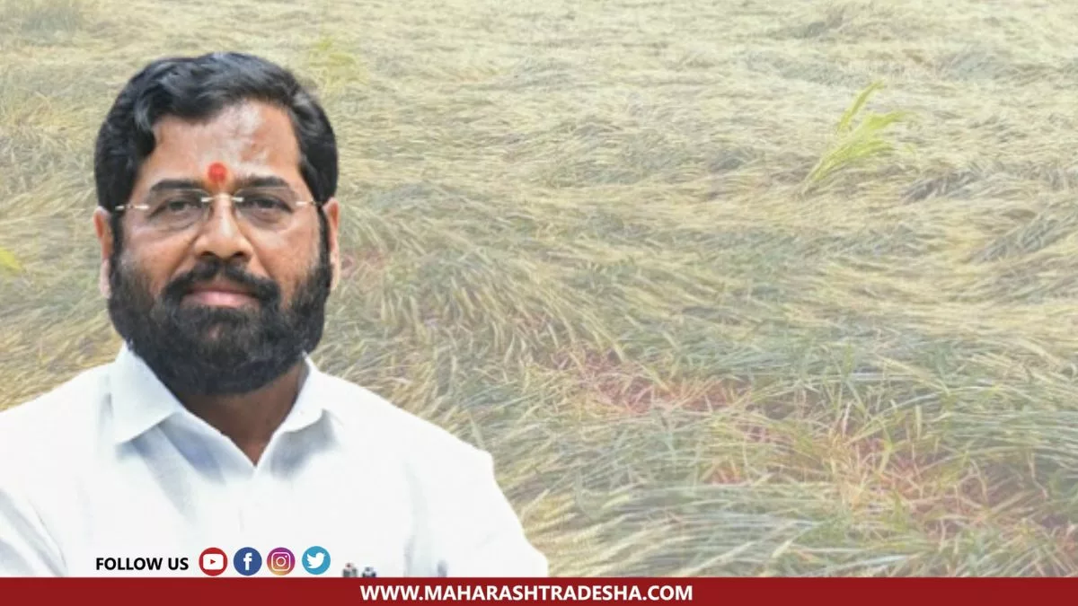Eknath Shinde is taking steps to compensate the farmers who suffered due to rain