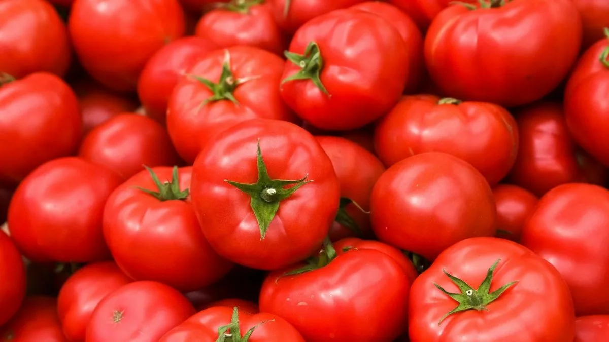 Consuming tomatoes can be beneficial for you in changing weather