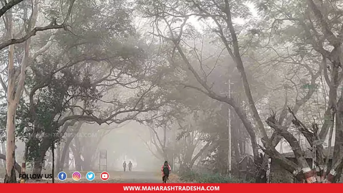 Weather Update The force of cold will increase in Maharashtra