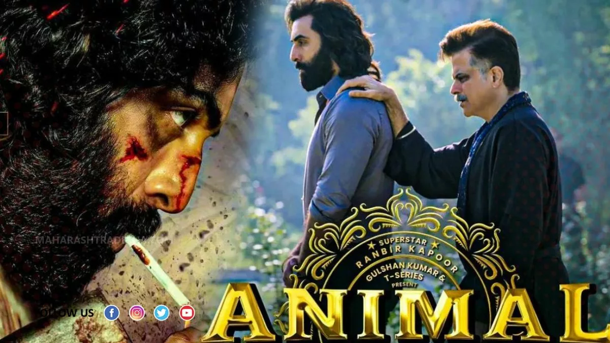 Animal Box office collection to reach 800 crore