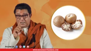 Maratha protesters vs raj thackeray beed mns