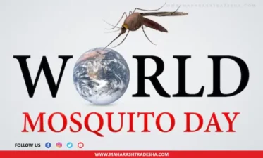 World mosquito day
