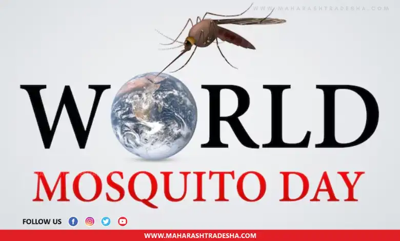 World Mosquito Day