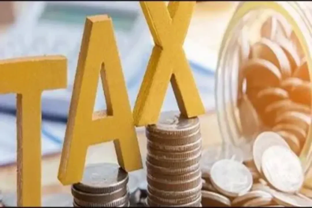 Union Budget 2025 last chance to save tax, nvest in these 5 schemes