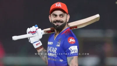 Phil salt will be opening partner for virat kohli in ipl 2025